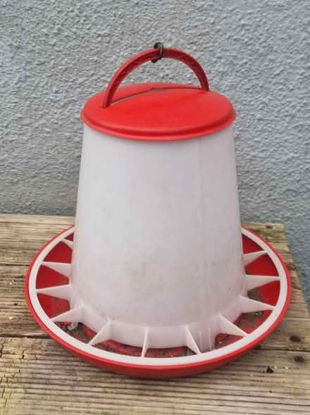 Photo of free Hanging chicken feeder Clevedon (Clevedon BS21) #1