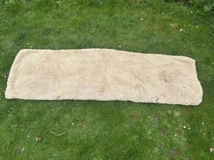 Photo of free Large runner rug (Shenley Brook End MK5) #1
