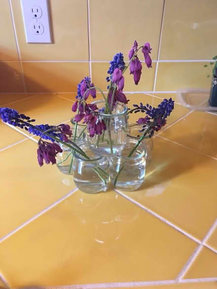 Photo of free Many small glass containers (Wallingford) #1