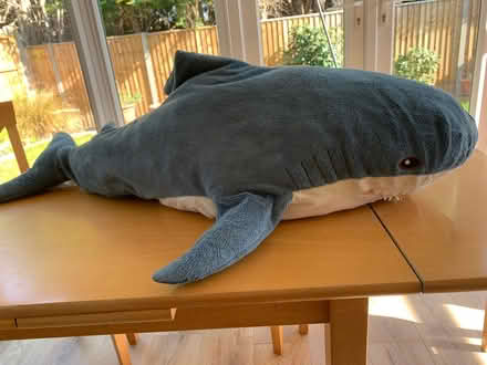 Photo of free Soft toy shark (Innsworth GL3) #1