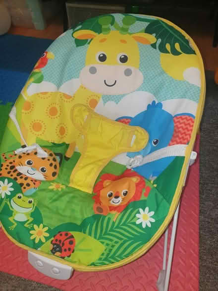 Photo of free Baby bouncer (Silver st, N18) #1