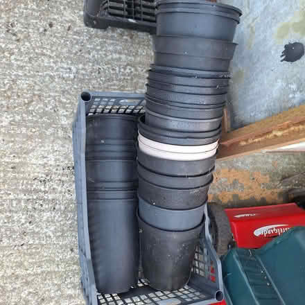 Photo of free Tall plant pots (Rother TN35) #1