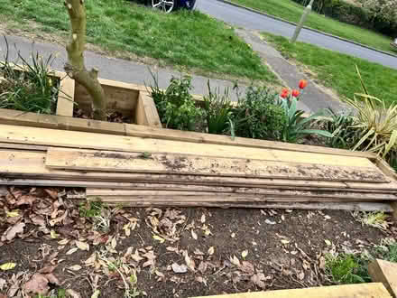 Photo of free Wood planks (Northcourt OX14) #1