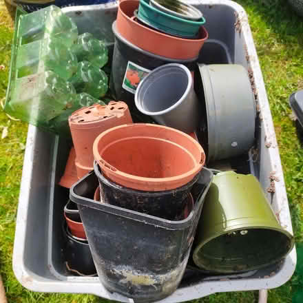 Photo of free Plant pots (Gobowen SY11) #1