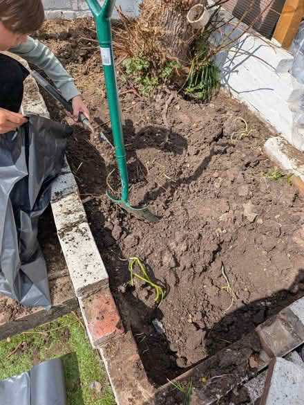 Photo of free Lots of good soil (Gravesend DA12) #1