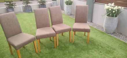 Photo of free Four dining chairs (Southbourne BH6) #1