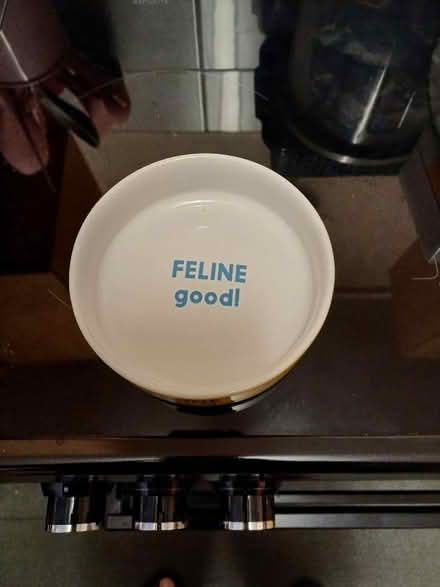 Photo of free Cat bowl (AL1) #1