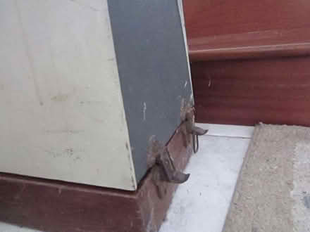 Photo of free sewing machine (Morton NR9) #4