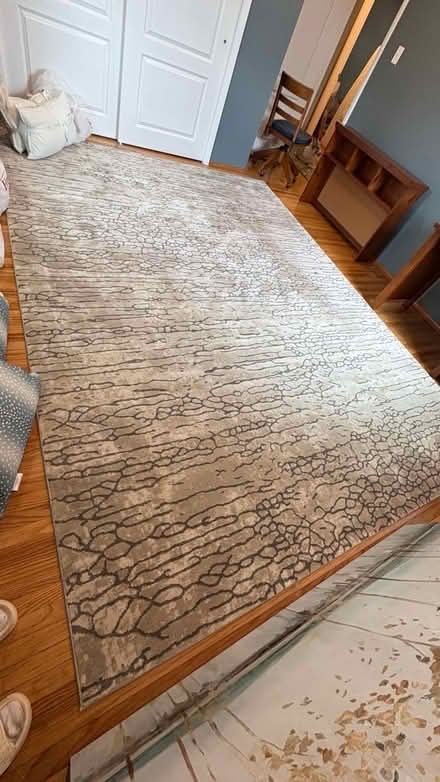 Photo of free Like new area rug (New Hope) #1