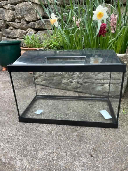 Photo of free Fish tank (University of Bath) #1