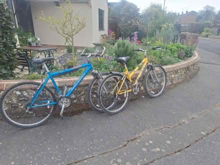 Photo of free Bikes ladies and gents (Bognor regis PO22. Es Felpham) #1