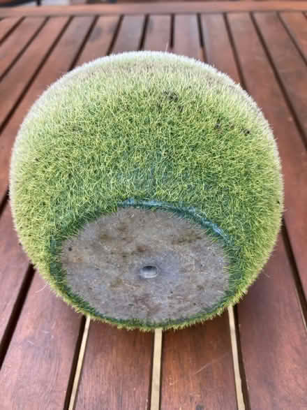 Photo of free Garden ornament (Thorney) #3