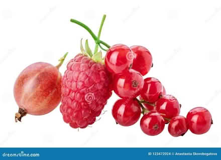 Photo of Berry Plants (Swindon SN1) #1
