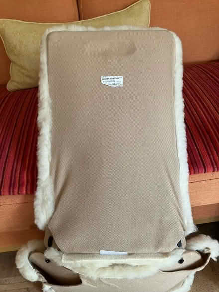 Photo of free Moulded car seat, fleece (Wargrave RG10) #3
