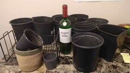 Photo of free Planters (Foggy Bottom) #1