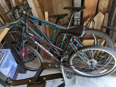 Photo of free pink mountain bike (Parker) #1