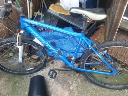 Photo of free Mens muddy fox bike (Margate) #1