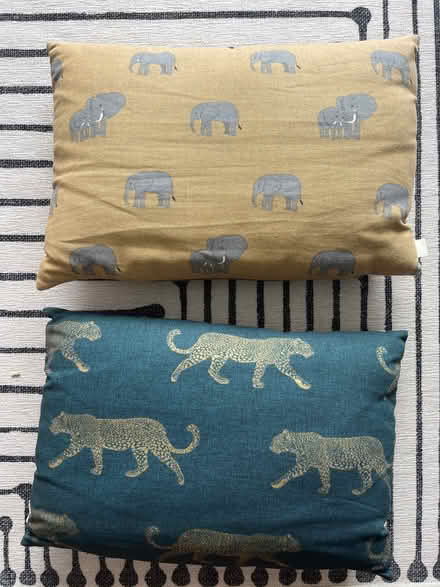 Photo of free Small cushions. Handmade and really pretty (Sway SO41) #1