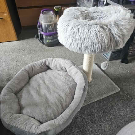 Photo of free Pet bed and scratch post (Canford Heath BH17) #1