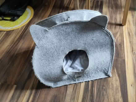 Photo of free zoofari cat cave (navan road) #1