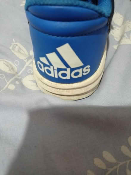 Photo of free Adidas trainers (Gorebridge EH23) #3