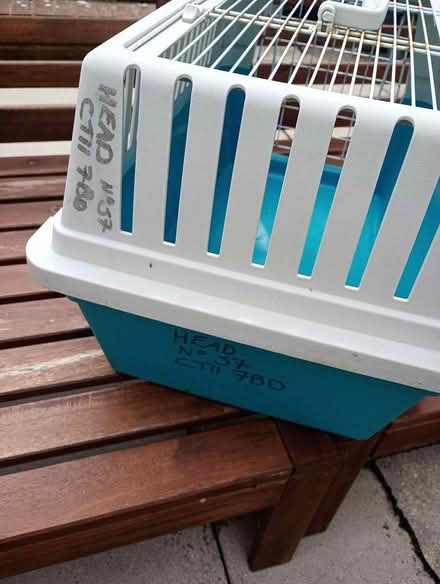 Photo of free Pet carrier (Weybridge KT13) #3