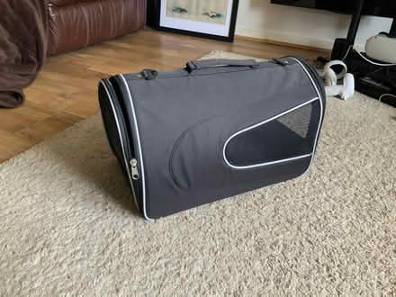 Photo of free Cat travel bag (Starbeck HG1) #1