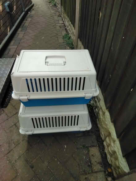 Photo of free Large cat baskets (Burntwood WS7) #2