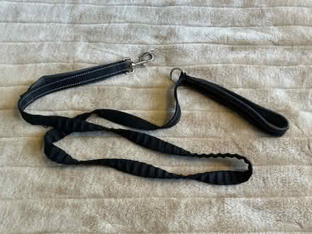 Photo of free Dog Lead (CT1) #1