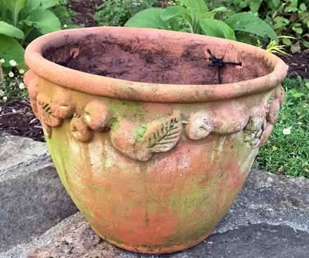 Photo of Terracotta or Ceramic Plant Pots (Bewdley DY12) #1