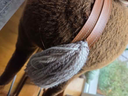 Photo of free Rocking horse (Staveley LA8) #4