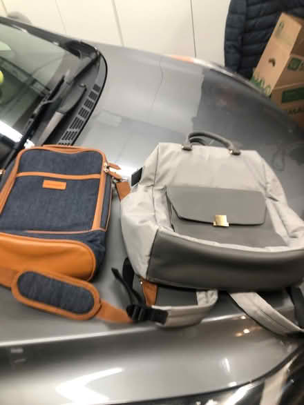 Photo of free Bags (berkeley) #1