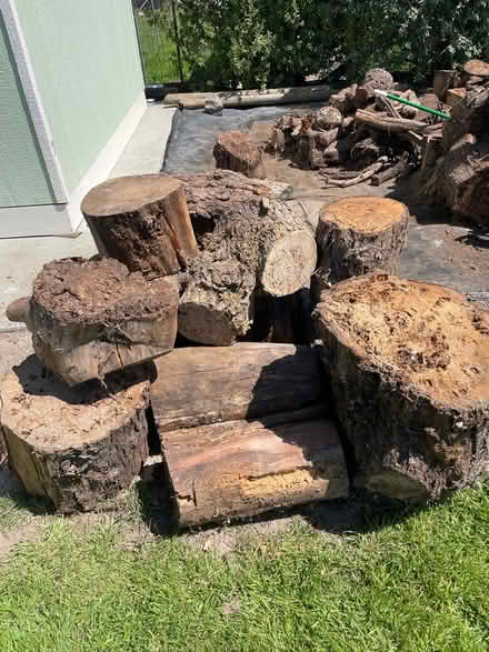 Photo of free Fire wood (North West Petaluma) #1
