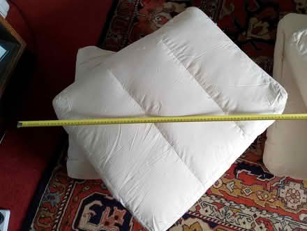Photo of free Cushion Pads for sofa & Arm Chairs (Fontwell) #3