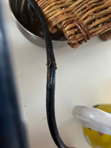 Photo of free Toastie maker cable needs repair (BN2) #3