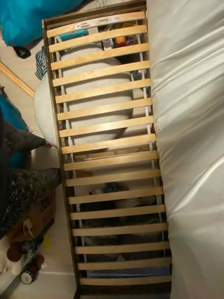 Photo of free Full size wood bed frame (Adams Morgan) #2
