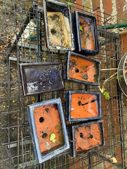 Photo of free Small bonsai pots (Llandrindod LD1) #2