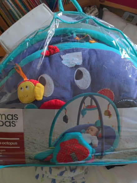 Photo of free Baby play mat (Honor oak) #1