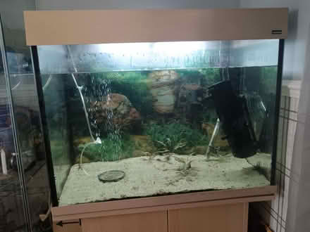 Photo of free Large fish tank and cupboard (Letchworth SG6) #2