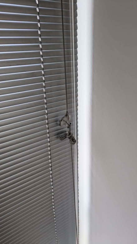 Photo of free 3x Metal Venetian Blinds - Grey (Stockbridge EH4) #2