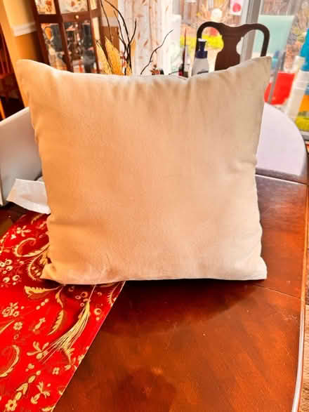 Photo of free Pretty bird throw pillow (Crofton) #2