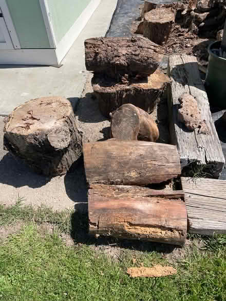 Photo of free Fire wood (North West Petaluma) #3