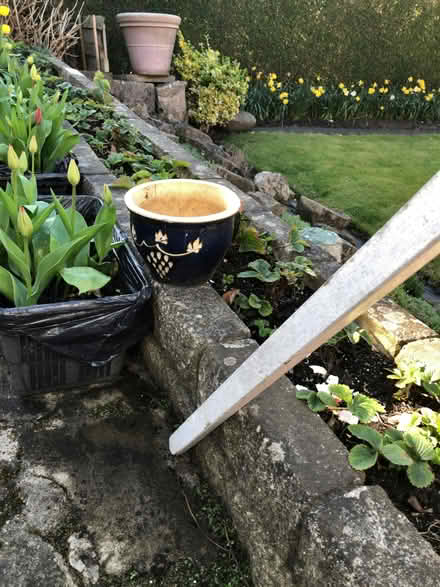 Photo of free Flower pot (Goldenacre EH5) #1