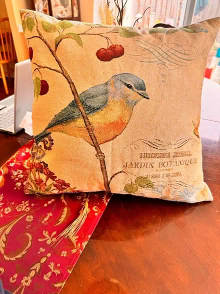 Photo of free Pretty bird throw pillow (Crofton) #1