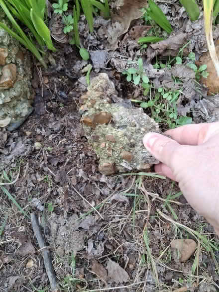 Photo of free Rocks/boulders for borders and rockeries (Watton at Stone SG14) #3