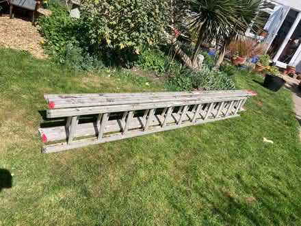 Photo of free Ladders (CT5) #2