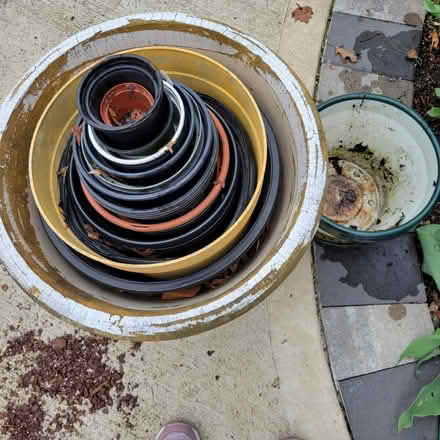 Photo of free Nursery Pots (Nassau County) #1