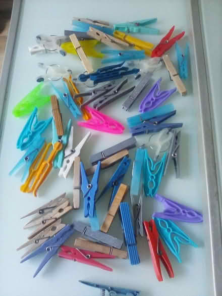 Photo of free Clothes pegs (Shipley, BD18) #1
