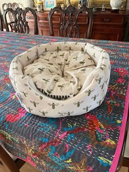 Photo of free Cat basket (Garsington OX44) #1