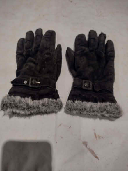 Photo of free Ladies Gloves (Drayton Parslow MK17) #1